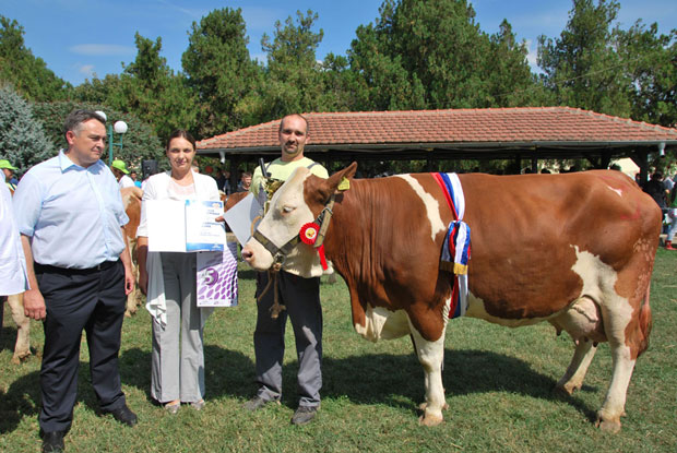 Пехар узела Венера